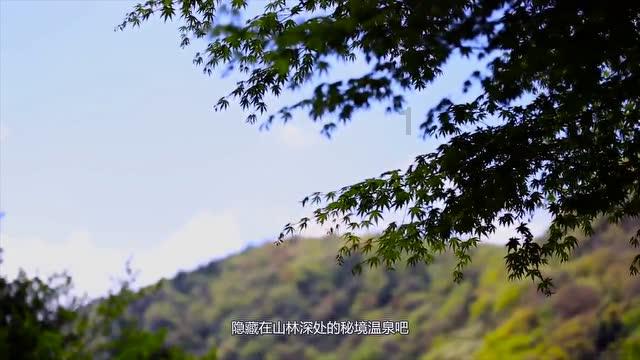 召唤神龙万宁版祖龙